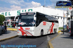 Transportes Estrella Roja De Cuautla, TER 